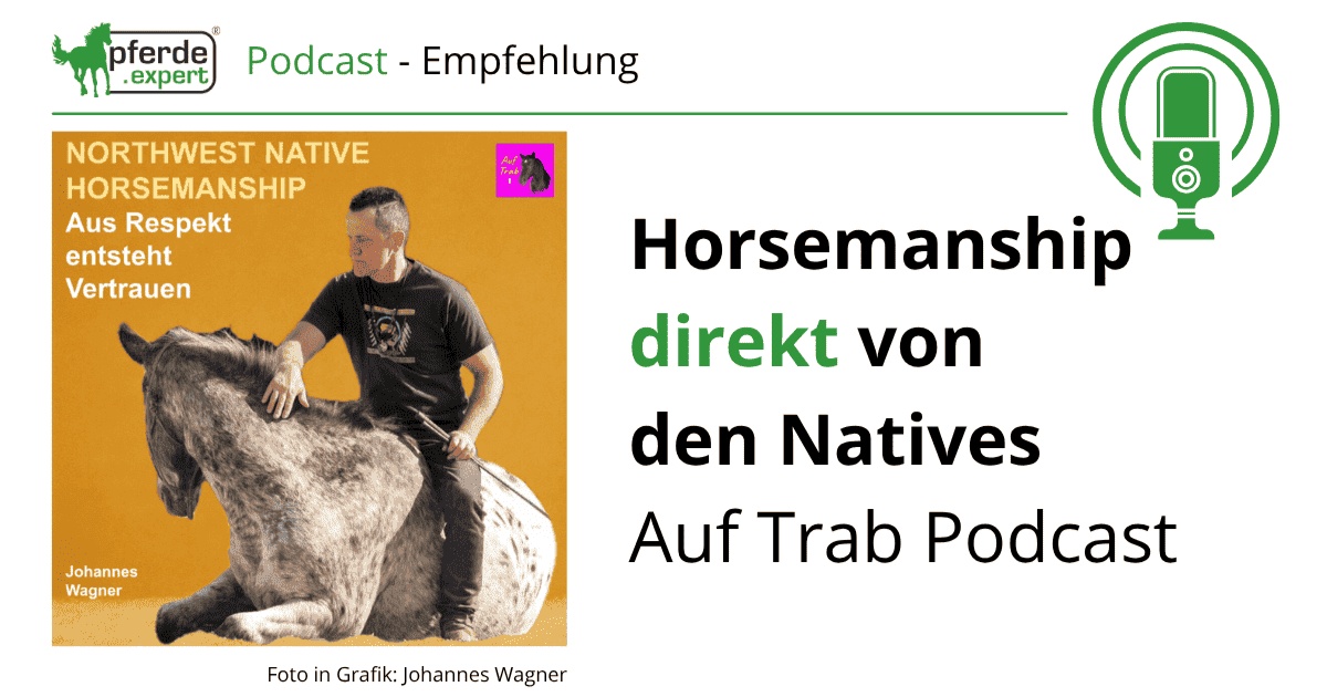 Portal Related Image