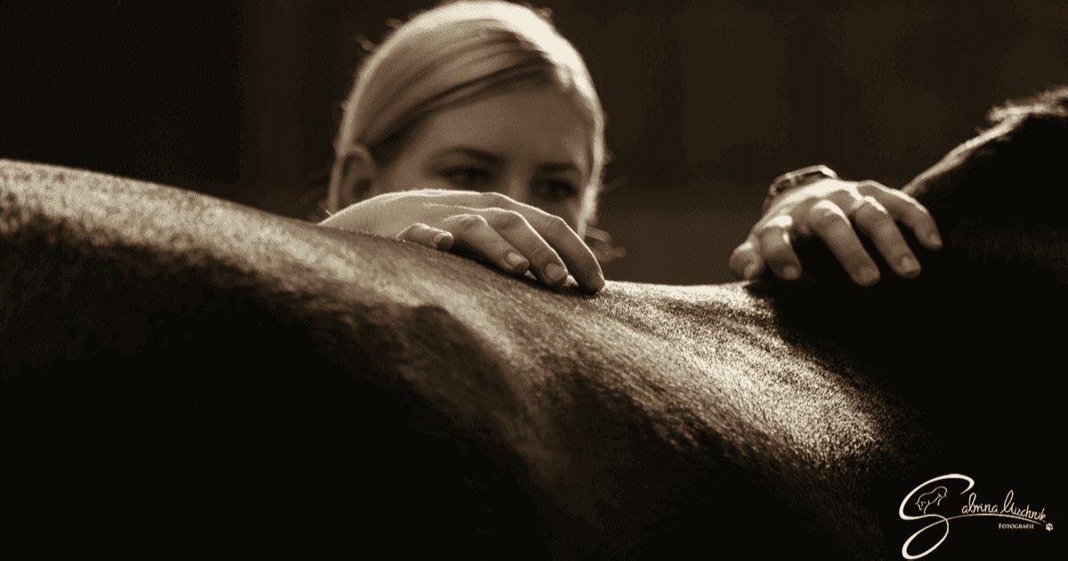 Portal Related Image