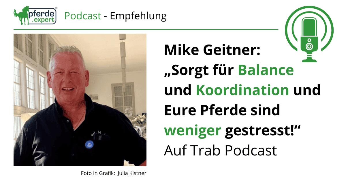 Portal Related Image