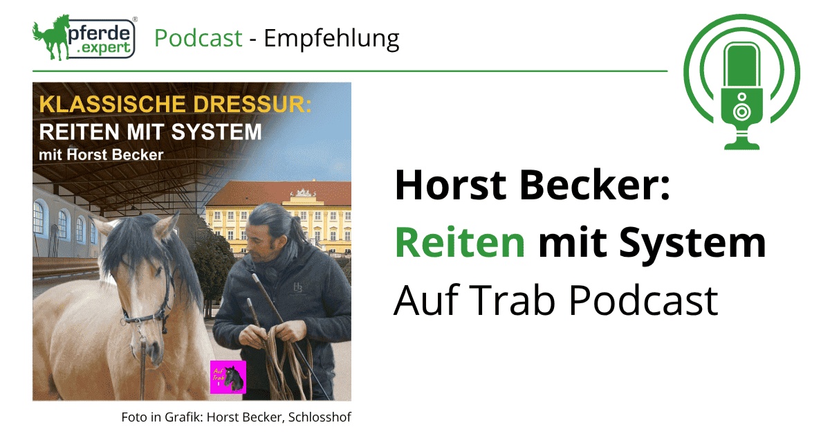 Portal Related Image