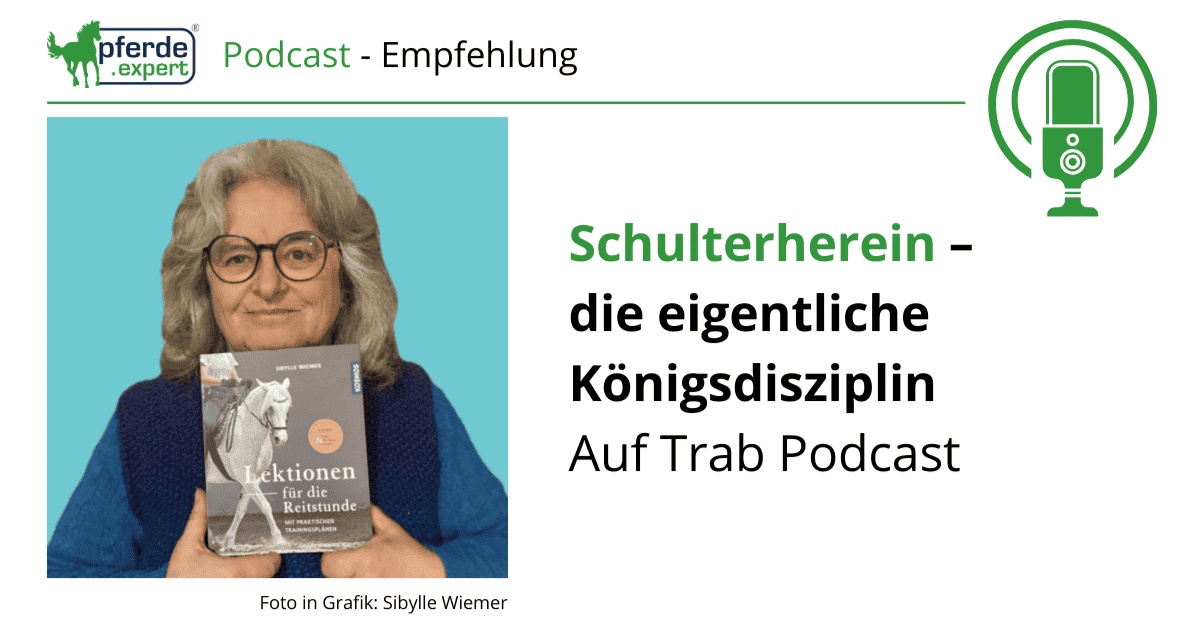 Portal Related Image