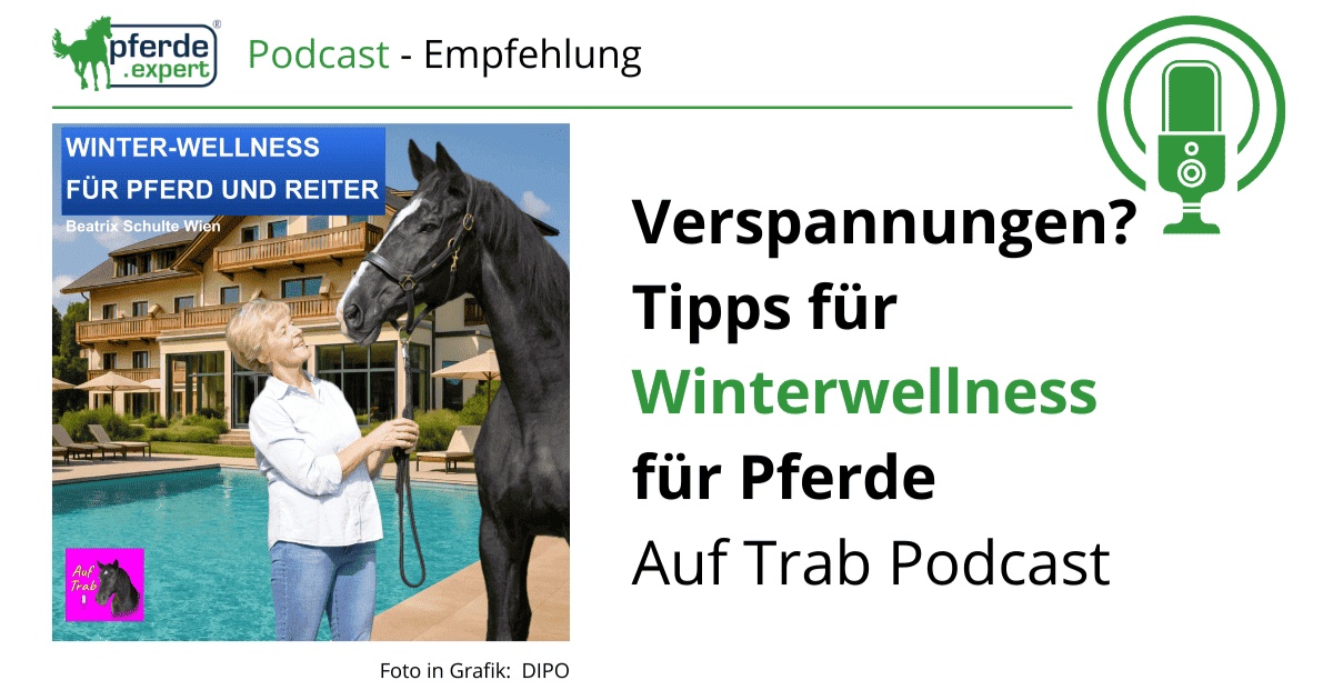 Portal Related Image