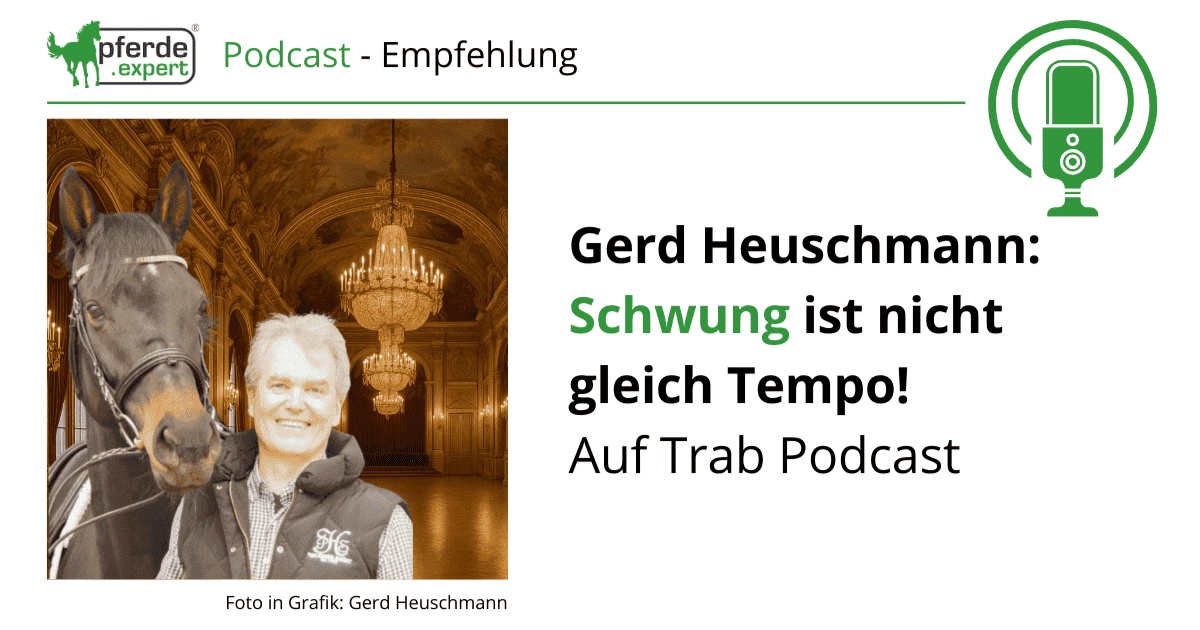 Portal Related Image