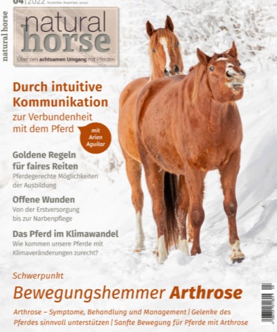 Natural Horse 42 | Bewegungshemmer Arthrose