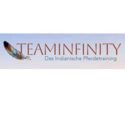 Teaminfinity